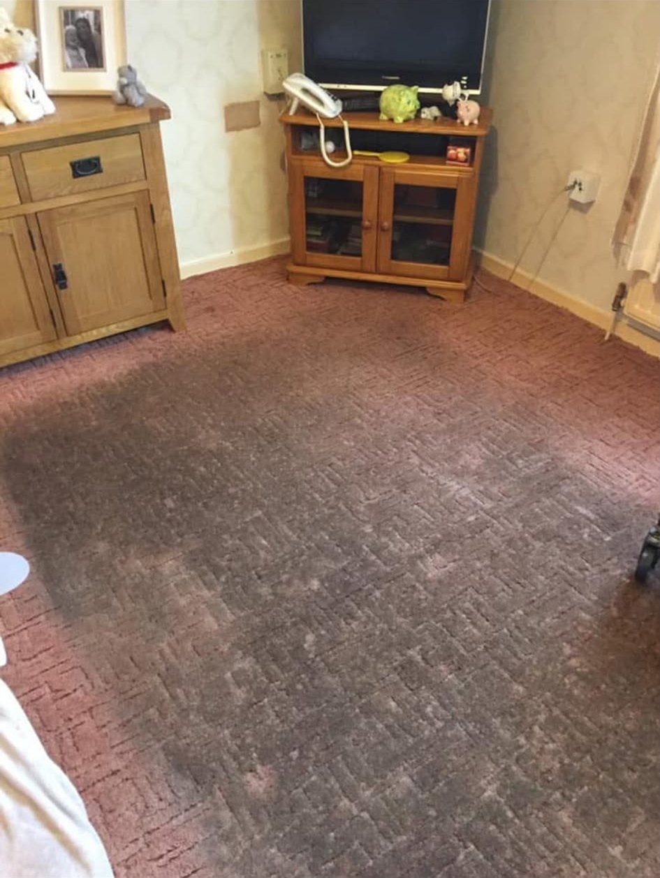 Patterned pink lounge carpet before cleaning, dark and grubby